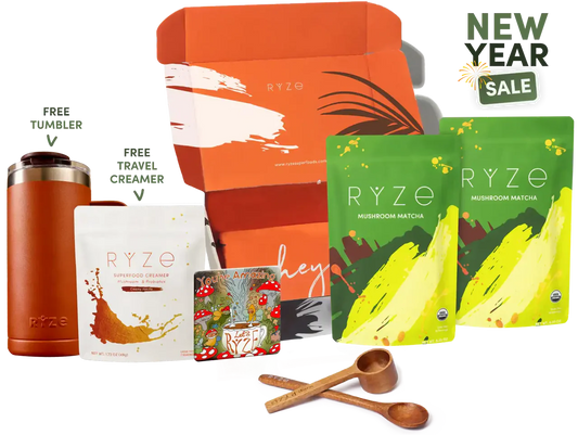 Starter Kit 0LY