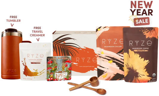 Lasting Energy Bundle OBC