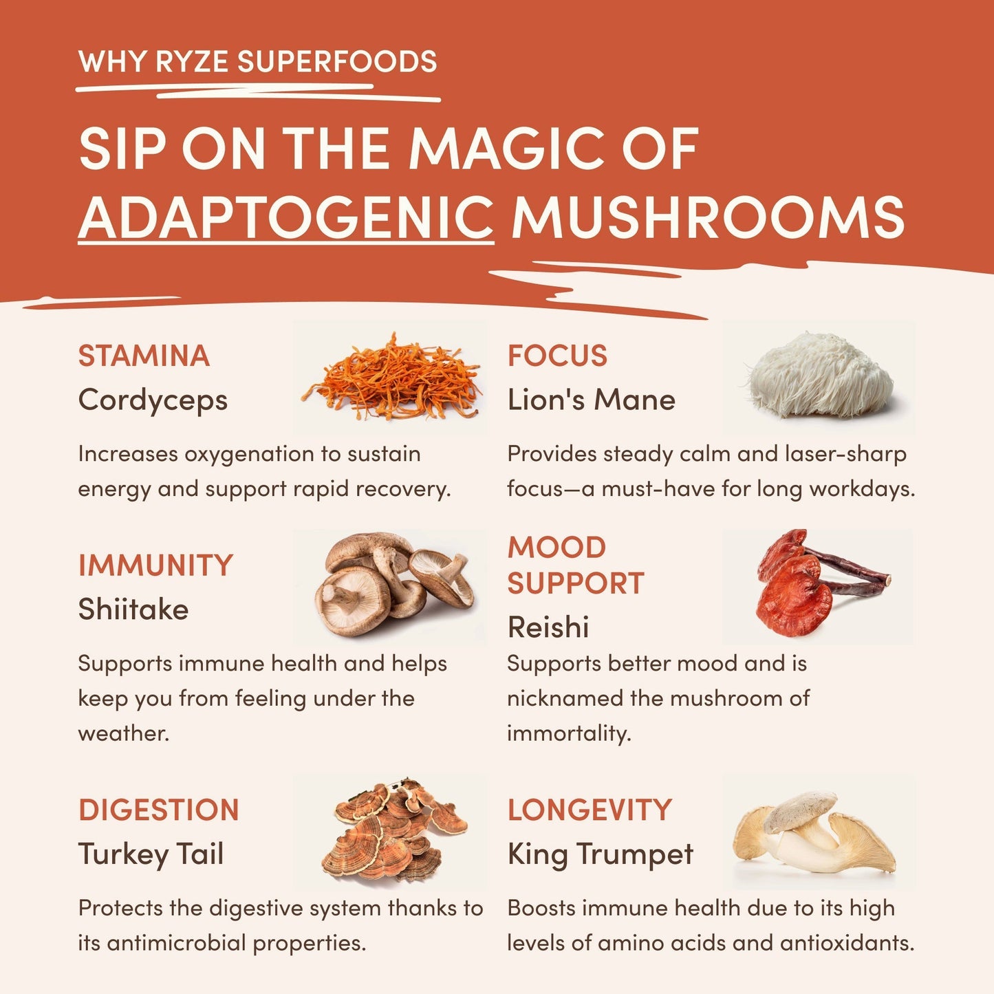 Superfood Creamer HJO