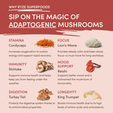 Mushroom Chai 8J7