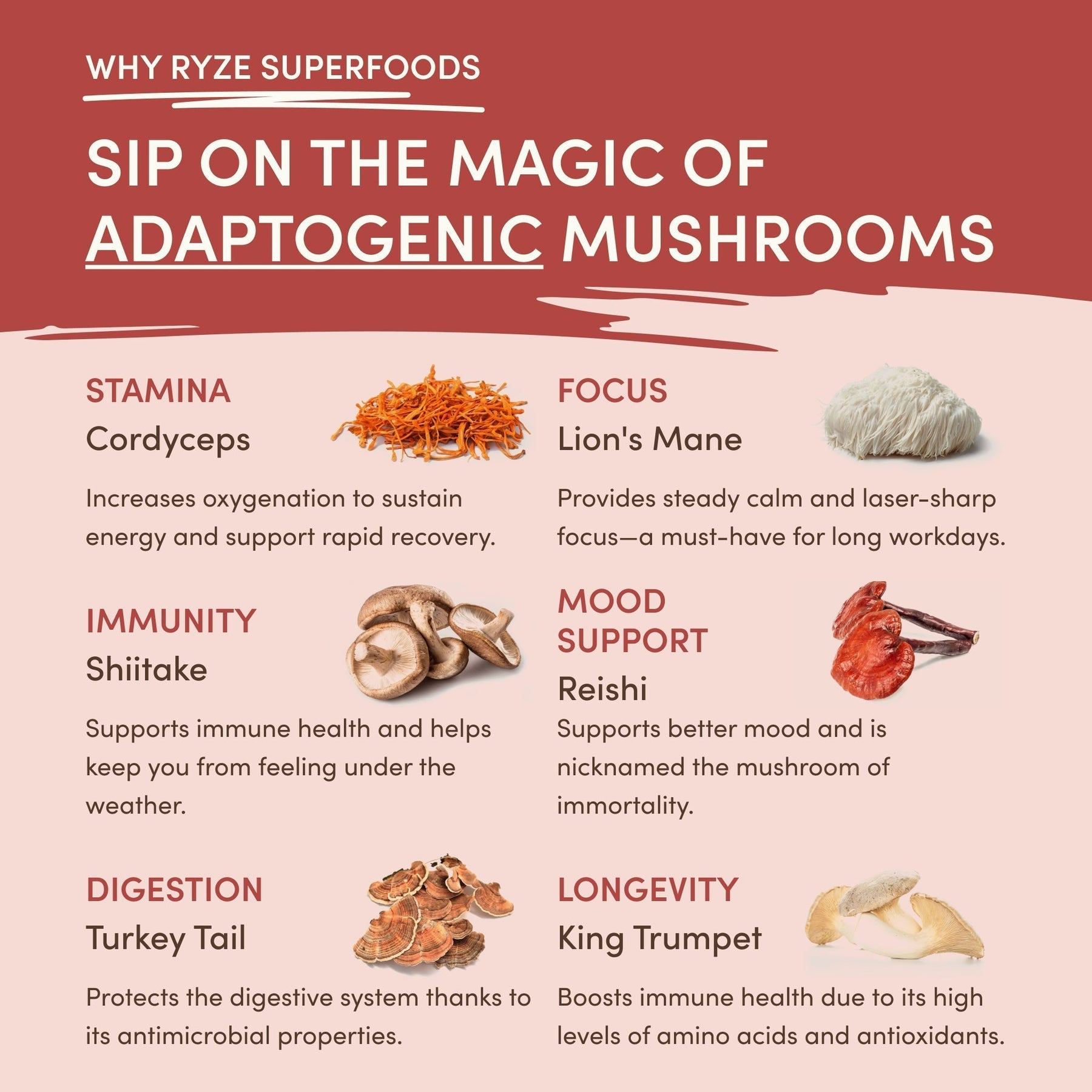 Mushroom Chai 8J7